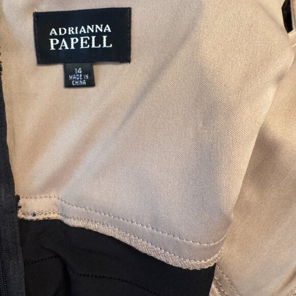 Adrianna Papell Black Lace Cocktail Dress – Size 14, Worn once, Stunner! - Picture 7 of 8